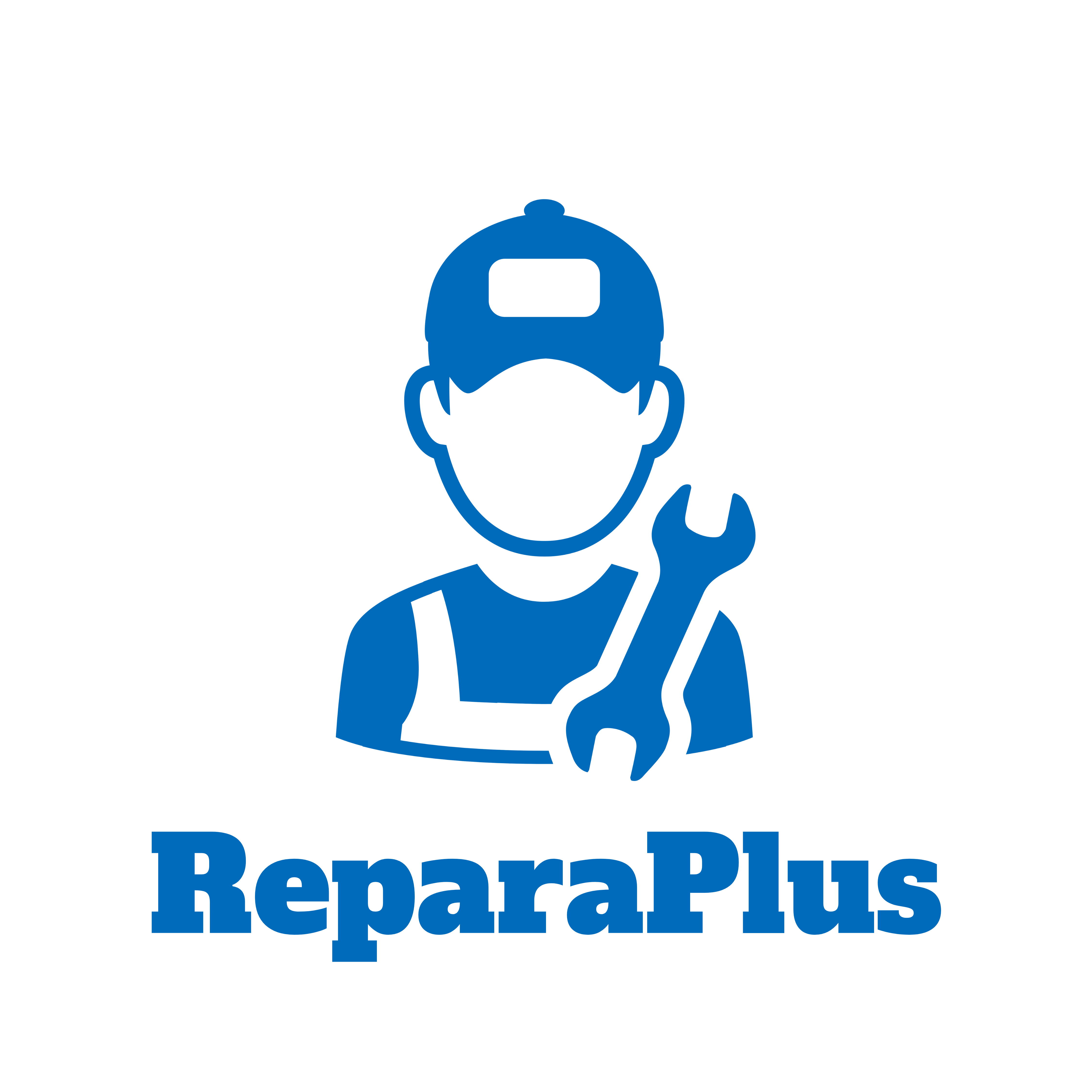 Cliente Landing Page Reparaplus